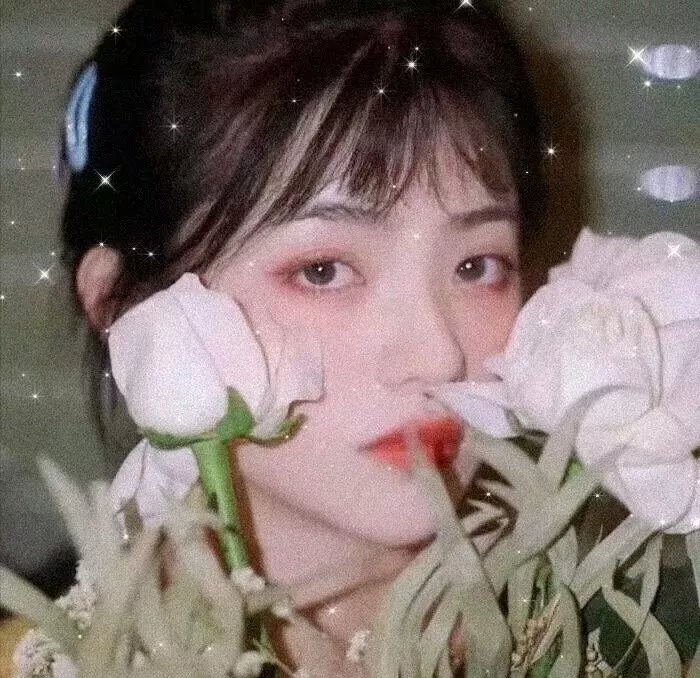 喜马拉亚星